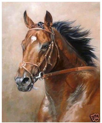 Square Shape Canvas A Brown Horse Abstract Oil Paintings