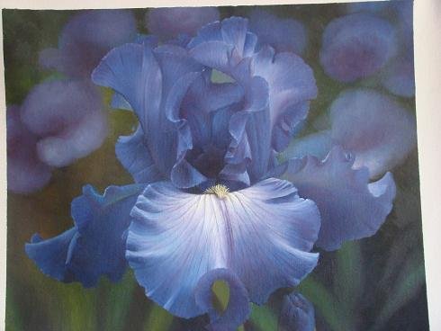 Morning Glory Blue Background Canvas Classical Oil Paintings