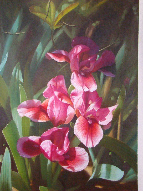Red Flowers Canvas Square Shape Classical Oil Paintings