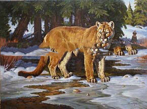 A Brown Tiger Canvas Winter Background Realist Oil Paintings