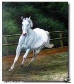 White Running Horse Green Tree Background Wall Decoration Animal Oil Paintings