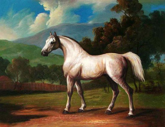 White Horse Subject Light Gray Sky Background On Canvas Animal Oil Paintings