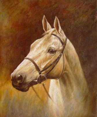 White Horse With No Deformation Orange Background Animal Oil Paintings