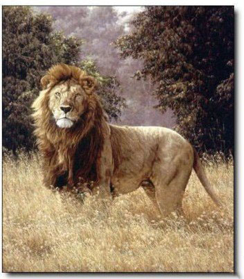 Lion Subject Pure Hand-painted Forest Background Animal Oil Paintings