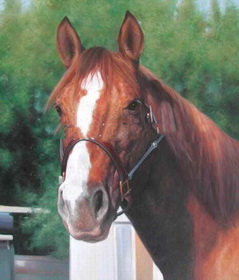 Green Background A Big Horse With Brown Hair Animal Oil Paintings