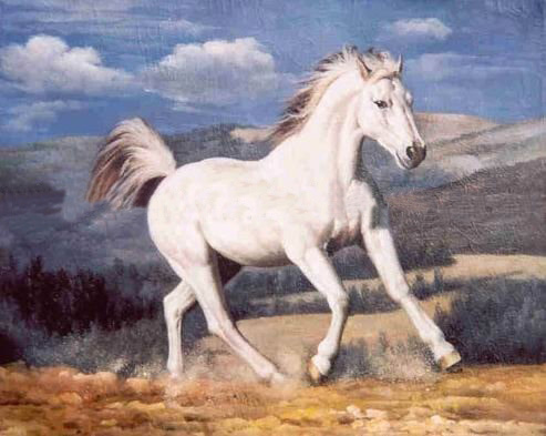 Blue Cloud Background Canvas A White Horse Animal Oil Paintings