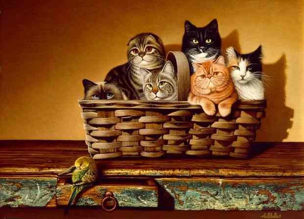 Canvas With Many Cats In The Basketball Dark Background Animal Oil Paintings