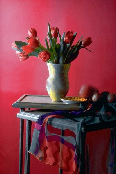 Red Background Rose Subject Canvas Still Life Oil Paintings