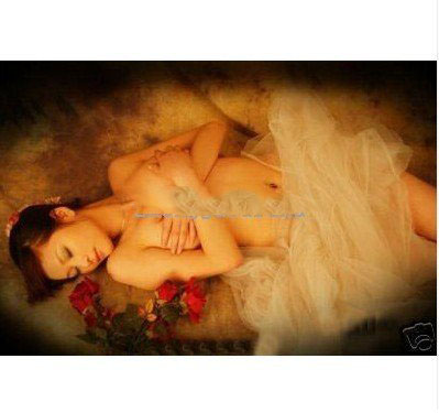 A Girl With Tulle Rose Background Canvas Nude Oil Paintings