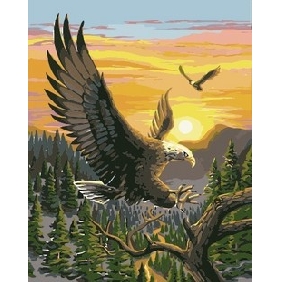 Flying Eagle Subject Sunrise Background Canvas Animal Oil Paintings