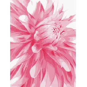 Pink Huge With Strong Sense Of Three-dimensional Flower Oil Paintings