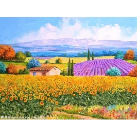 Mixcolor Flower Field Subject Blue Sky Background Wall Decoration Landscape Oil Paintings