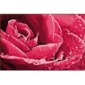Rose Subject Frameless Wall Decoration Flower Oil Paintings