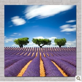 On Canvas Flower Field Subject Blue Sky Background Modern Oil Paintings  On Canvas Flower Field Subject Blue Sky Background Modern Oil Paintings