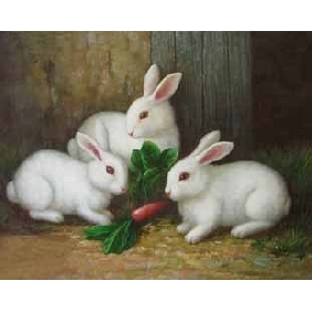 Three Rabbits Subject Pure Hand-painted With No Deformation Animal Oil Paintings