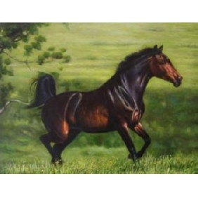 Black Horse Canvas Green Background Animal Oil Paintings